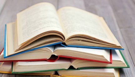 Blog 5 french - literatura