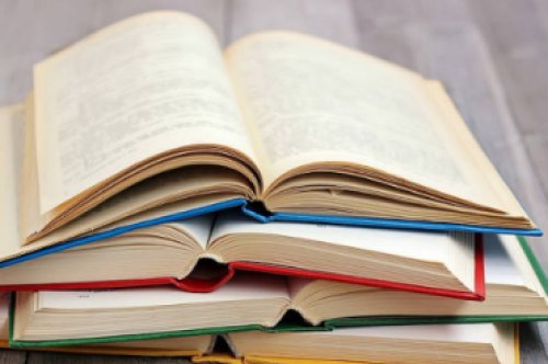 Blog 5 french - literatura